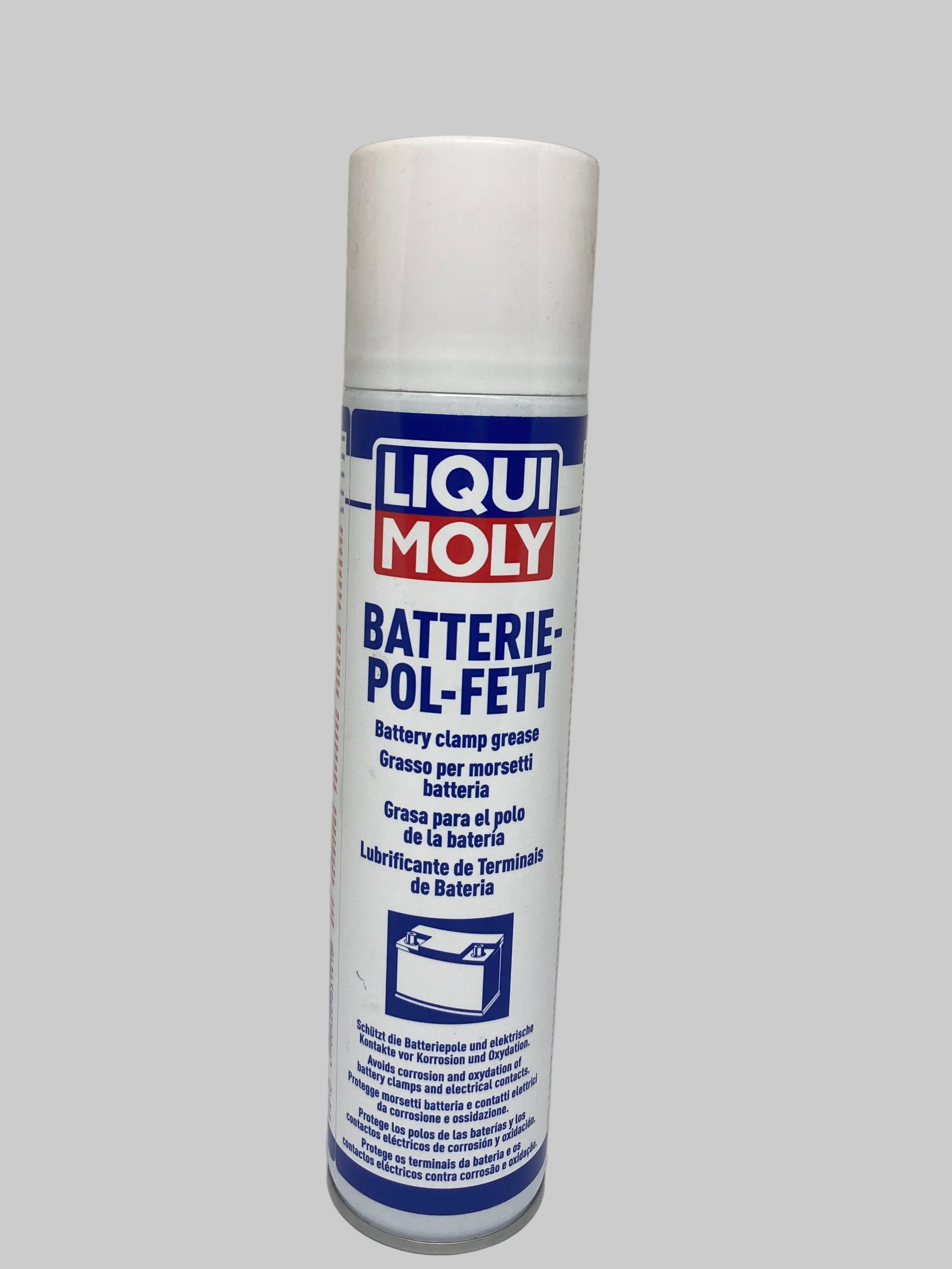 Batterie-Pol-Fett. Protege los Borne de tu Bateria